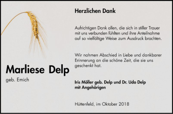 Traueranzeige von Marliese Delp von Südhessen Morgen