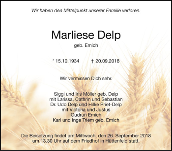 Traueranzeige von Marliese Delp von Südhessen Morgen