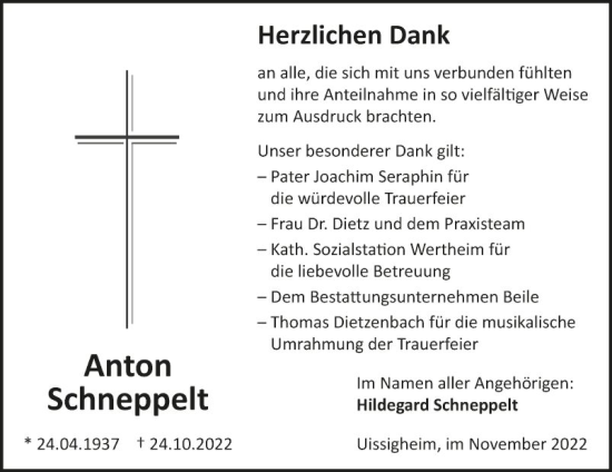 Traueranzeige von Anton Schneppelt von Fränkische Nachrichten