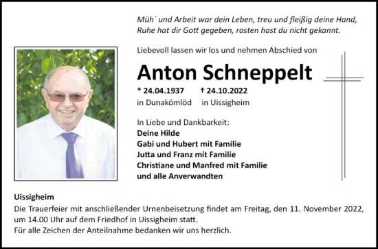 Traueranzeige von Anton Schneppelt von Fränkische Nachrichten