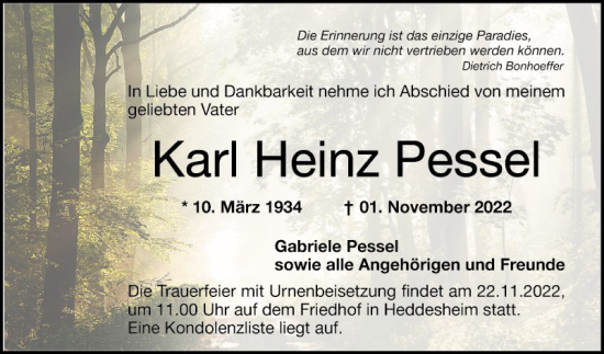 Traueranzeige von Karl Heinz Pessel von Mannheimer Morgen