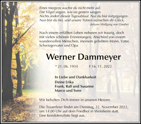 Traueranzeige von Werner Dammeyer von Mannheimer Morgen