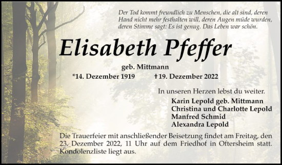 Traueranzeige von Elisabeth Pfeffer von Schwetzinger Zeitung