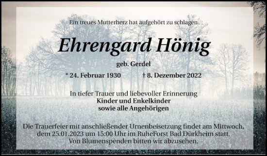 Traueranzeige von Ehrengard Hönig von Mannheimer Morgen