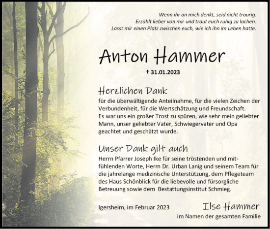 Traueranzeige von Anton Hammer von Fränkische Nachrichten