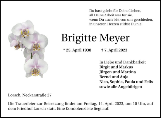 Traueranzeige von Brigitte Meyer von Bergsträßer Anzeiger