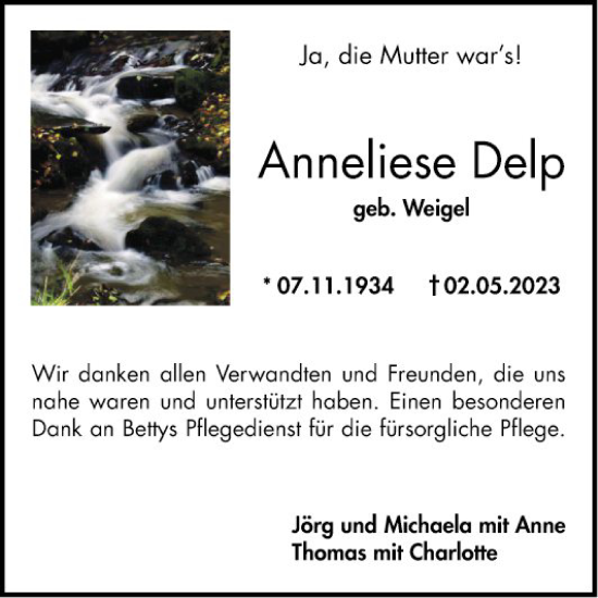 Traueranzeige von Anneliese Delp von Bergsträßer Anzeiger