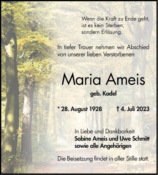 Traueranzeige von Maria Ameis von Bergsträßer Anzeiger