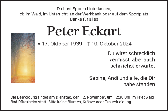 Traueranzeige von Peter Eckart von Mannheimer Morgen