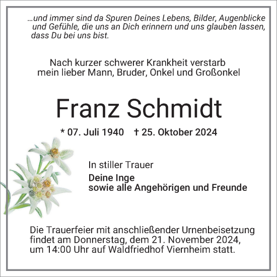 Traueranzeige von Franz Schmidt von Mannheimer Morgen