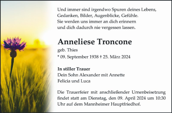 Traueranzeige von Anneliese Troncone von Mannheimer Morgen