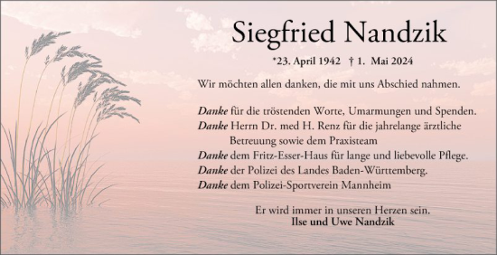 Traueranzeige von Siegfried Nandzik von Mannheimer Morgen