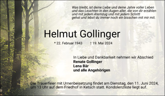 Traueranzeige von Helmut Gollinger von Schwetzinger Zeitung