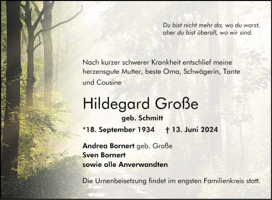 Traueranzeige von Hildegard Große von Bergsträßer Anzeiger