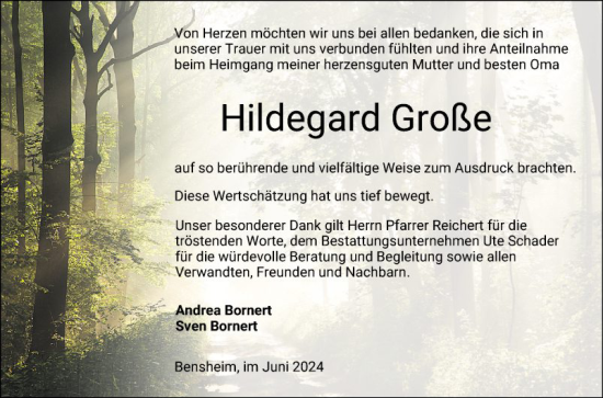 Traueranzeige von Hildegard Große von Bergsträßer Anzeiger