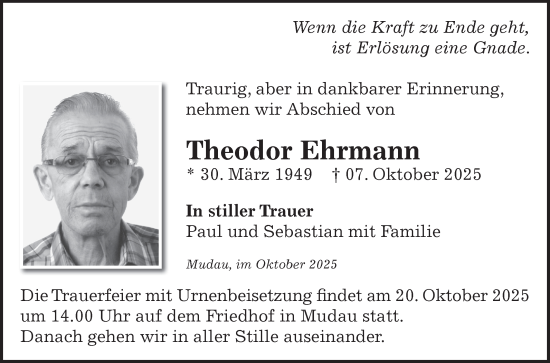 Traueranzeige von Theodor Ehrmann von Fränkische Nachrichten