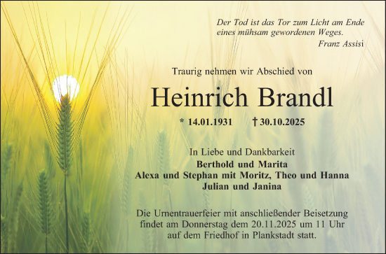 Traueranzeige von Heinrich Brandl von Schwetzinger Zeitung